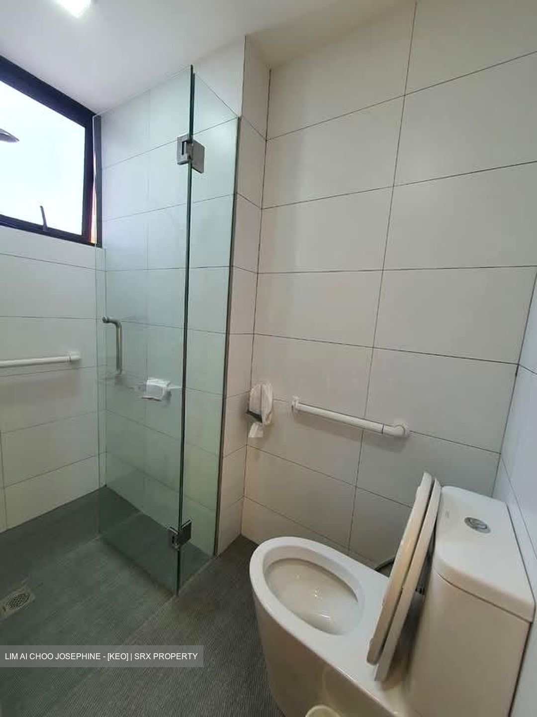 Tanglin View (D3), Condominium #570574041